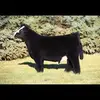 Mark Ball - @markball40 - TikTok