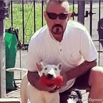Mark Balla - @mark_00_star_dog - Instagram