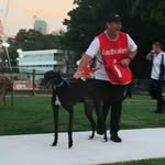 Mark Ballantine - @ballowsracing - Instagram