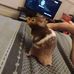 Mark Ballinger - Facebook