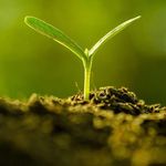 Mark Banker - @mark.banker.1217 - Instagram