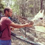 Marko Barašin - @mark_barashe - Instagram