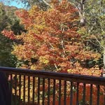 Mark Barbee - @mark.barbee - Instagram