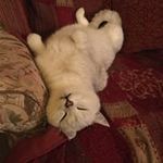Mark Barley - @markbarley2 - Instagram