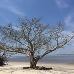 Mark Barner - @mbarnatl - Instagram