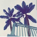 Mark Barnhill - @_mark_the_shark - Instagram