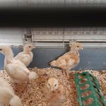 Mark Barnwell - @markbarnwell1 - Instagram