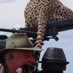Mark Barrah - @markbarrah - Instagram