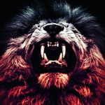 mark barrera - @markbarrera23 - Instagram