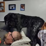 Mark Barrett - @mark.barrett.54738 - Instagram