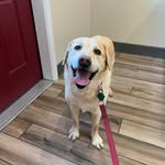Mark Barrette - @mbarrett74 - Instagram