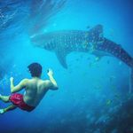 Mark Barrios - @markbarriosmd - Instagram