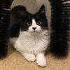 Mark Barrow - @mark.barrow5 - TikTok