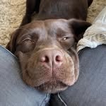 Mark Barrow - @contactmarkbarrow - Instagram
