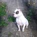 Mark Bartolo - Facebook