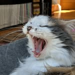 Mark Basson - @basson.mark - Instagram