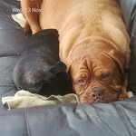 Mark Batchelor - @markbatchelor999 - Instagram