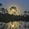 Mark Batchelor - @mark.batchelor6 - TikTok