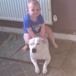 Mark Bateson - @batesonmark - Instagram
