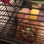 Mark Batty - @batty3235 - Instagram
