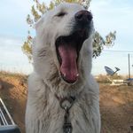 Mark Baty - @baty9369 - Instagram