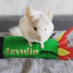 Mark Batyuk - @batyukmark - Instagram