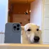 (:BS:) Arne TV auf die 1 - @mark.baumann4 - TikTok