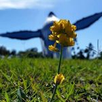 Mark Bayes - @mark.bayes.12 - Instagram