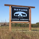 Mark Bayless - @mbblimo - Instagram