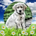 Mark Beane - @mark.beane.16 - Instagram