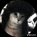 Mark Bearden - @2ndamendmentlover32 - Instagram
