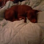 mark bearden - @markbearden57 - Instagram