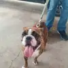 Mark Bearden - @mark.bearden - TikTok