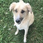Mark Bearden - @bearden6832 - Instagram