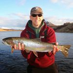 Mark Beardsley - @markinkodiak - Instagram