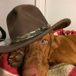 Mark Beatty - @markbeatty - Instagram