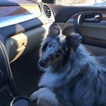 Mark Beaupre - @beaupre.mark - Instagram