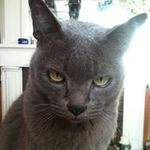 Mark Beckford - @beckford.mark - Instagram