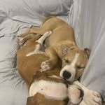 Mark Beebe - @markb_eebe - Instagram