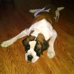 Mark Beebe - Facebook