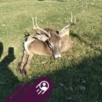 Mark Beesley - Facebook