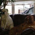 mark behan - @behan116 - Instagram