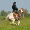 Little-B-Tara Ranch - @markobehnke - TikTok