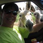 Mark Behrens - @markb1690 - Instagram