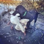 Mark Behrens - @marksbehrens - Instagram