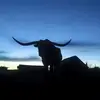 markberinger915 - @markberinger915 - TikTok