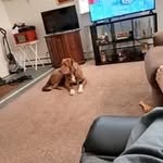 Mark Beil - @mbeil7072 - Instagram