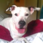 Mark Belcher - @mark.belcher.5815 - Instagram