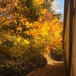 Mark Belcher - @mark.belcher.14 - Instagram