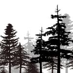 Mark Belknap | Forestry and Wildlife - @forestryandwildlife - Instagram